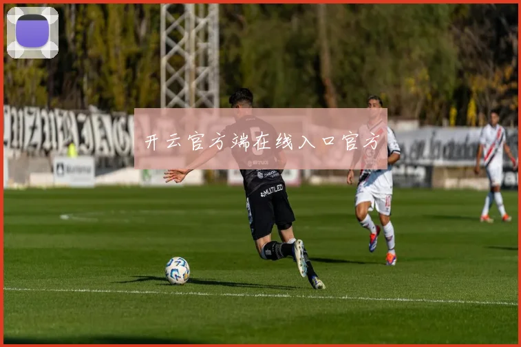 开云官方端在线入口官方