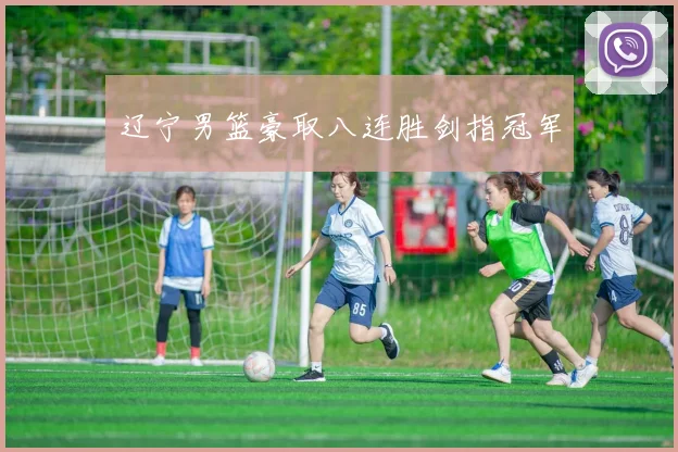 辽宁男篮豪取八连胜剑指冠军
