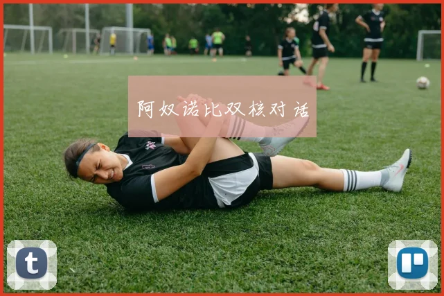 阿奴诺比双核对话