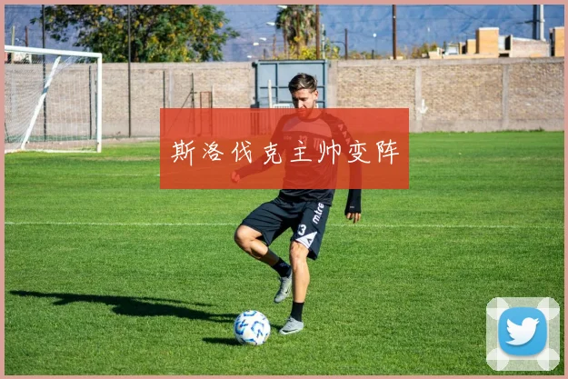 斯洛伐克主帅变阵