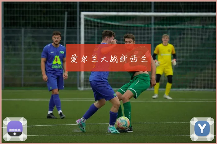 爱尔兰大战新西兰