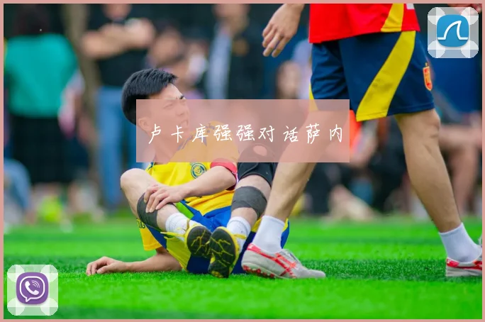 卢卡库强强对话萨内