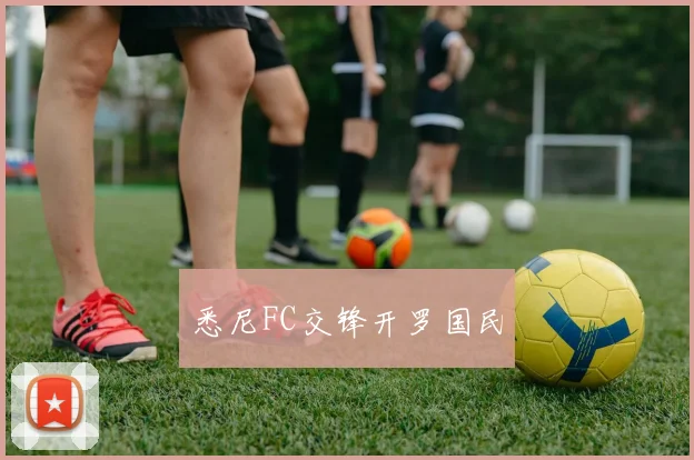 悉尼FC交锋开罗国民