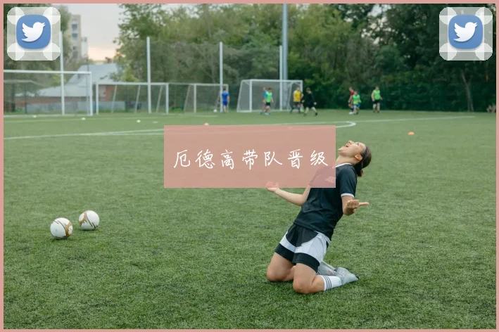 厄德高带队晋级