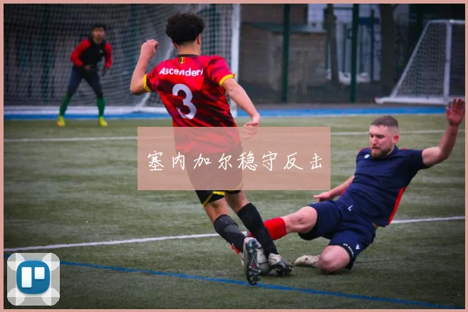 塞内加尔稳守反击