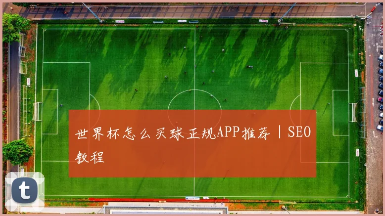 世界杯怎么买球正规APP推荐｜SEO教程