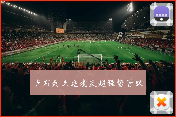 卢布列夫逆境反超强势晋级
