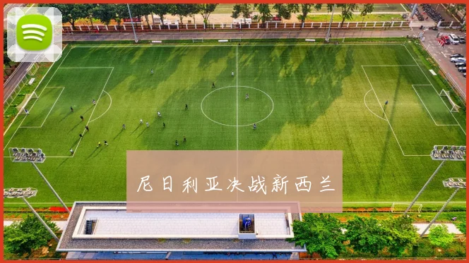 尼日利亚决战新西兰