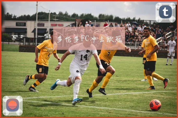 多伦多FC冲击欧冠