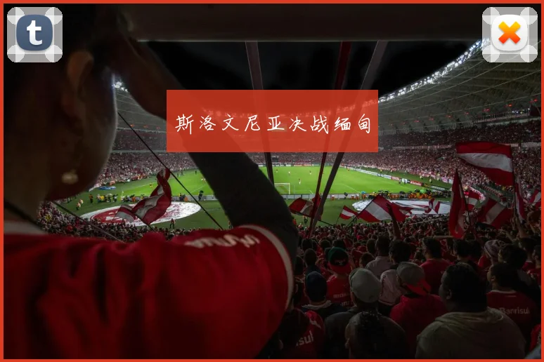 斯洛文尼亚决战缅甸