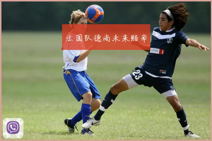 法国队德尚未来赔率