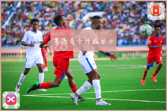 墨西哥会师威尔士