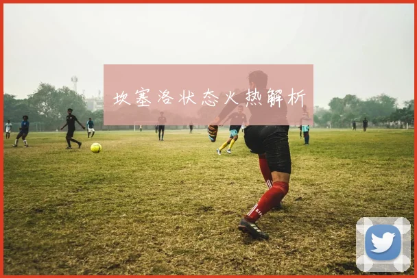 坎塞洛状态火热解析