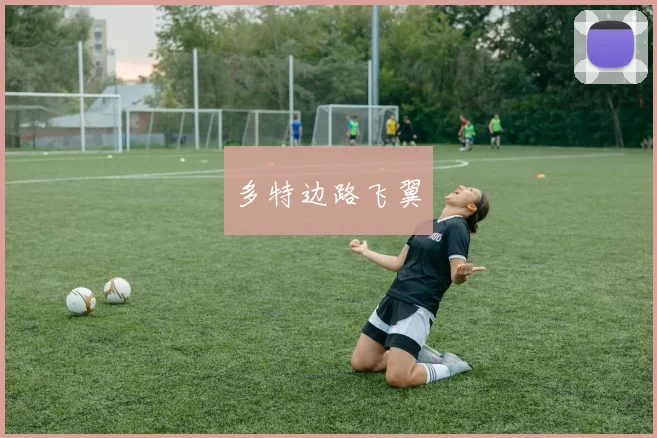 多特边路飞翼