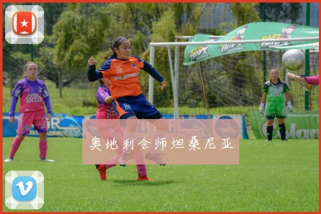 奥地利会师坦桑尼亚