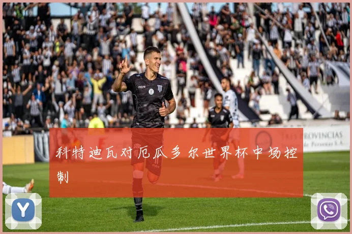 科特迪瓦对厄瓜多尔世界杯中场控制