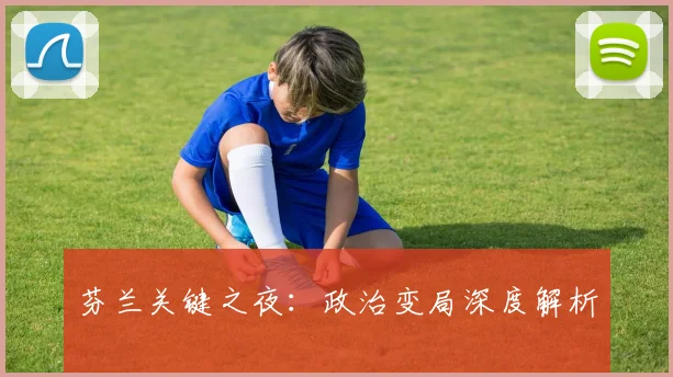 芬兰关键之夜：政治变局深度解析