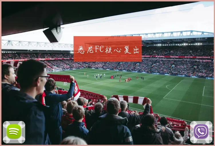 悉尼FC核心复出