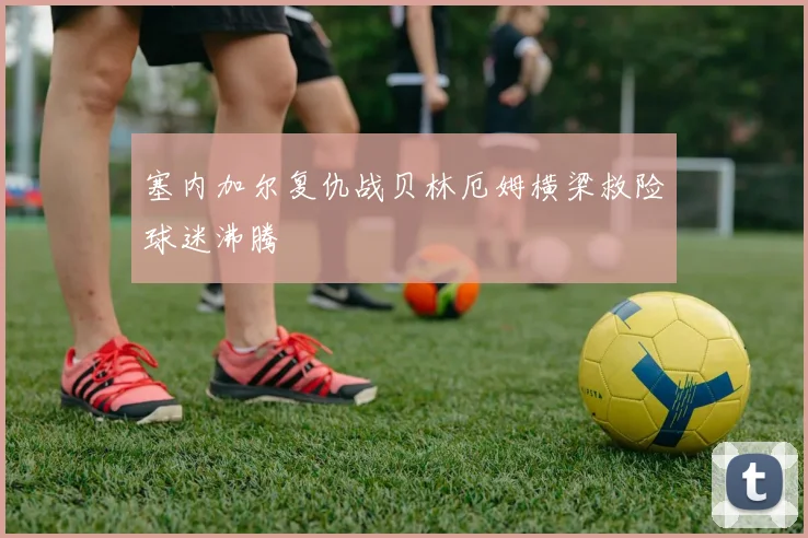 塞内加尔复仇战贝林厄姆横梁救险球迷沸腾