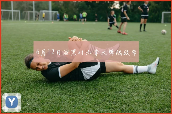 6月12日波黑对加拿大锋线效率