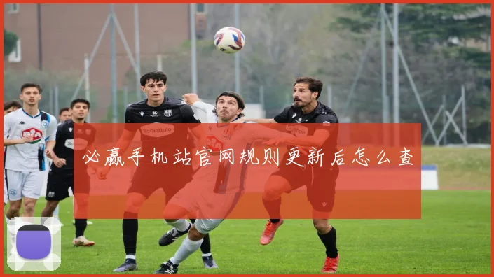 必赢手机站官网规则更新后怎么查
