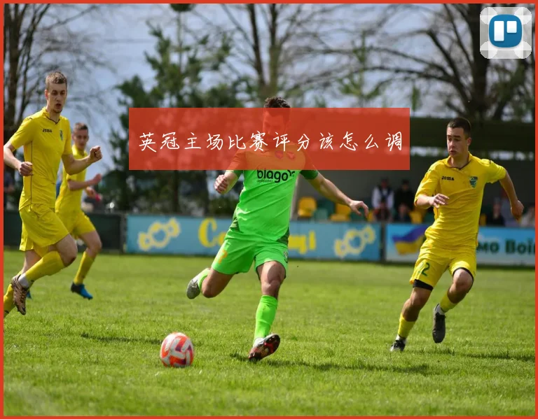 英冠主场比赛评分该怎么调